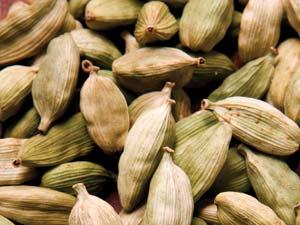 Cardamom.jpg